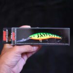 Воблер Rapala Deep Tail Dancer TDD-9 - FT