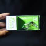 Воблер Jackall Micro Tappy - Chartreuse Grass Hopper