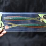 Приманки Frapp Gekoslug 9'' - #PAL11