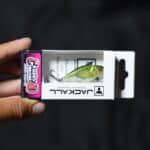 Раттлин Jackall Chubby Vibration 40 - Ghost Ayu