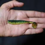 Приманки Relax King Shad 3'' - L054