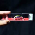 Воблер Yo-Zuri L-Minnow 33 S - M113